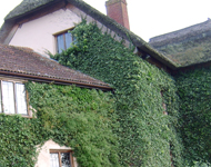 House to be restored.